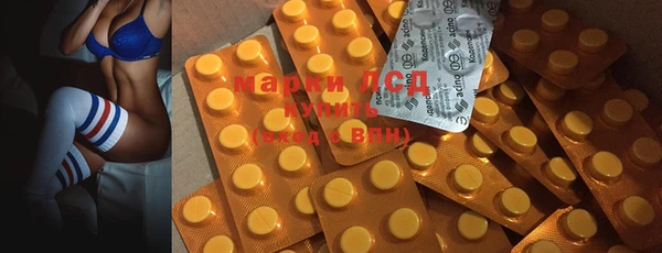 прущие грибы Арсеньев