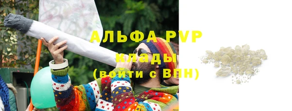 прущие грибы Арсеньев