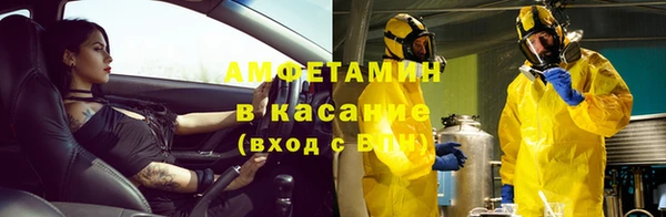 прущие грибы Арсеньев