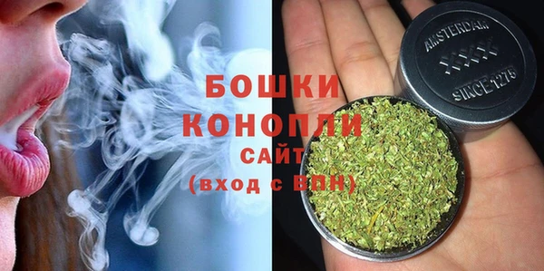 прущие грибы Арсеньев