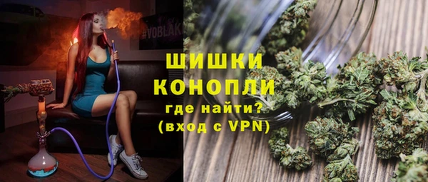 прущие грибы Арсеньев