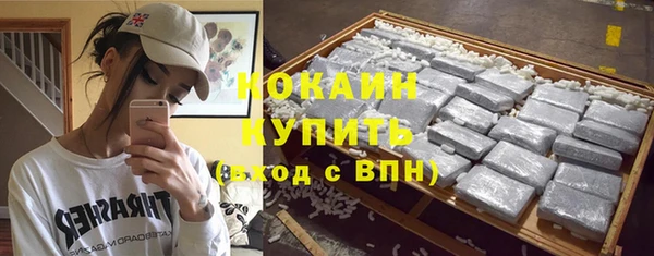прущие грибы Арсеньев